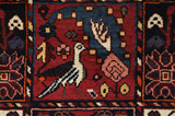 Bakhtiari Persialainen matto 292x173 - Kuva 10