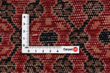 Songhor - Koliai Persialainen matto 385x75 - Kuva 4