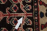 Bakhtiari - Garden Persialainen matto 298x210 - Kuva 18