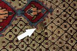 Songhor - Koliai Persialainen matto 300x152 - Kuva 17
