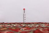 Borchalou - Hamadan Persialainen matto 313x97 - Kuva 8