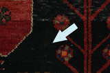 Koliai - Kurdi Persialainen matto 268x146 - Kuva 17