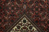 Bijar Persialainen matto 248x156 - Kuva 6