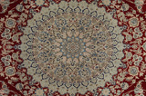 Nain4la Persialainen matto 240x158 - Kuva 6