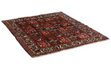 Bakhtiari - Qashqai Persialainen matto 186x156 - Kuva 1