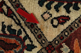 Bakhtiari - Garden Persialainen matto 320x218 - Kuva 17