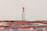 Bakhtiari - Garden Persialainen matto 310x215 - Kuva 8
